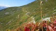 Bikecamp Davos