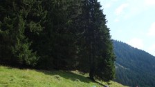 Bikecamp Davos