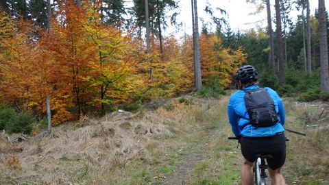 Pfefferkuchentour 2018