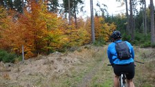 Pfefferkuchentour 2018