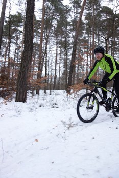 MTB vfZ WS 2018/19