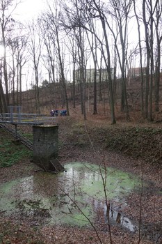 Nikolausradeln 2019