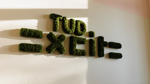 "TUD excite" aus Moos an einer Wand