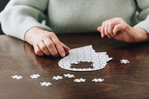 Foto zeigt eine Person, die einen weißen Menschenkopf auf dem Tisch zusammenpuzzelt