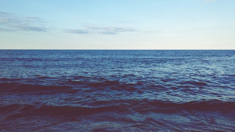 Blue Carbon Ecosystems