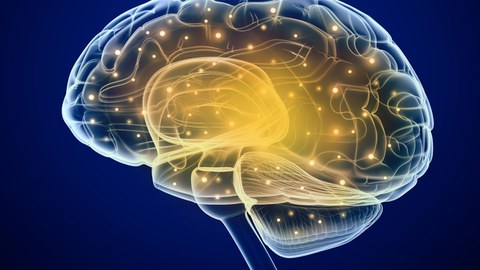 EP BrainHealth