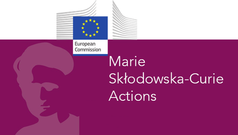 Eu Flagge, Konterfei von Marie Curie