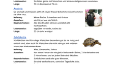 Themenseite Tiere von Max über Hunde, Axolotl, Schildkörte und Katzen