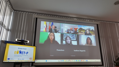 Impressions of the Focus Group in Portugal