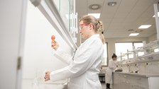 Person führt einen chemischen Versuch am Abzug durch