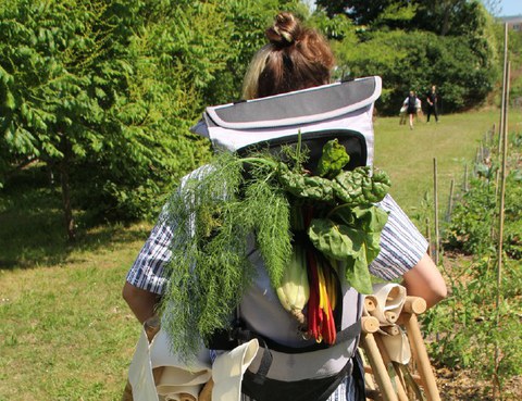 Rucksack voller Ernte