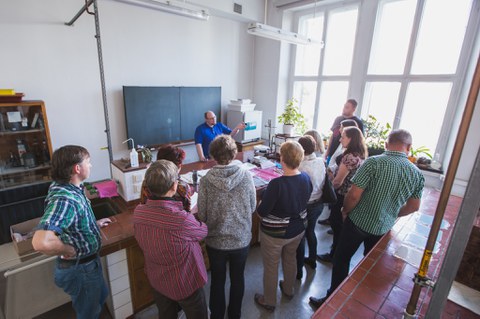Bild 12