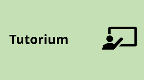 Tutorium an der Professur