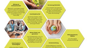 Du siehst eine Bienenwabe als Grafik mit den Merkmalen der ZuNaBi.