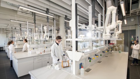 Es stehe mehrere Studierende an Labor Tischen im Labor.