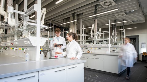 Studierende beobachten die chemischen Vorgänge in Reagenzgläsern.