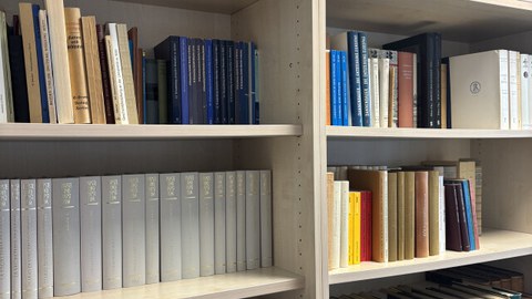 Auf dem Bild ist ein Bücherregal mit einer Auswahl von Büchern aus der Bibliothek von Odilo Engels zu sehen.