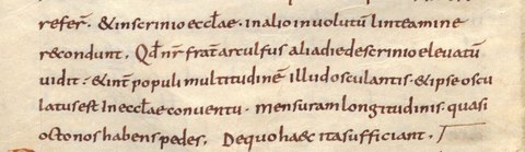 Bericht Adomnans über das Grabtuch in der Grabeskirche, Handschrift des 9. Jahrhunderts. 