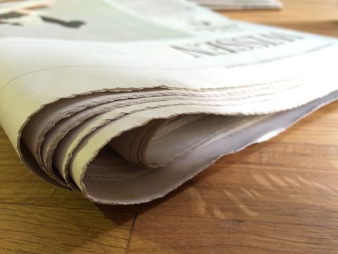Newspaper