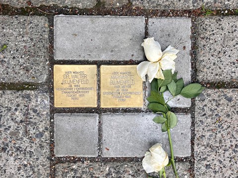 Stolpersteine für die Familie Blumenfeld auf der Bayreuther Str. in Dresden