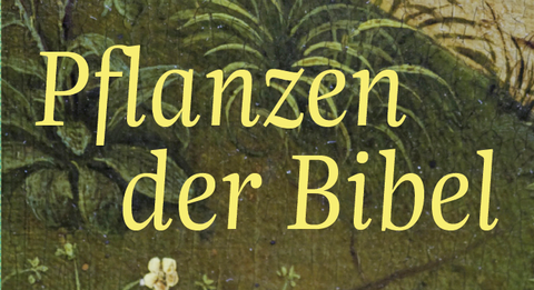 Buchdeckel