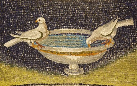 Täubchen aus Ravenna