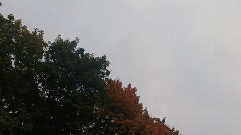 Feinschwarz.net