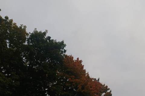 Feinschwarz.net