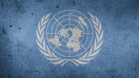 VN Website 1