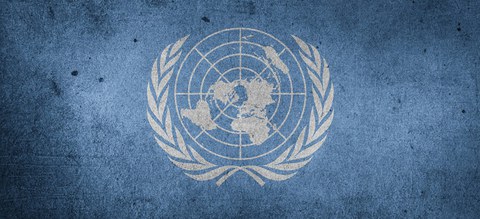 VN Website 1