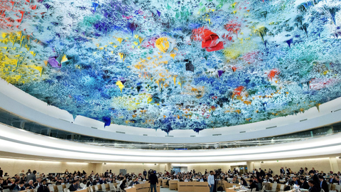 Human Rights Council