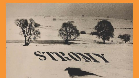 Plakat der Veranstaltung mit einem schwarz weiß Foto mit drei Bäumen in einer Schneelandschaft und einer Schablonensprühung darauf. Auf der Sprühung steht STORMY und ein Pfeil zeigt darauf. Das ganze ist auf einem orangen Grund mit den Angaben.