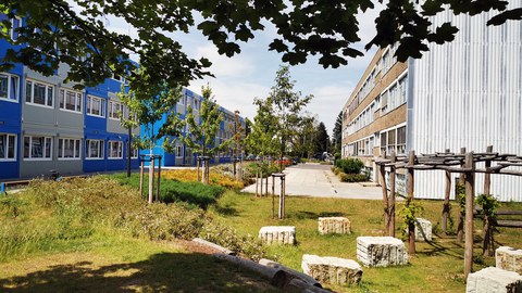 The school grounds of the Dresden University School with blue-grey container building, old GDR building and landscaped outdoor area as a green studio in the sunshine