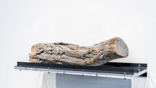 Lena von Goedeke: Trümmer, 2023/24, Permafrost, Plexiglas, Stahl; 18 x 60 x 22 cm, Foto: Caroline Schlüter