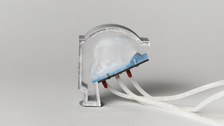 Vokaltrakt-Modell einer Mumie mit eingebauter fluidischer Zunge, 2021, 3D-Druck / 3D-Print; Professur für Sprachtechnologie und Kognitive Systeme, Institut für Akustik und Sprachkommunikation, TUD
