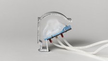 Vokaltrakt-Modell einer Mumie mit eingebauter fluidischer Zunge, 2021