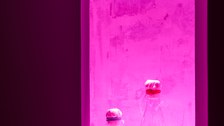 Christian Kosmas Mayer: Aevum (detail), 2019