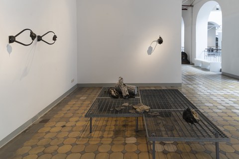 Ausstellungsansicht "Ground Truth" mit Arbeiten von Lena von Goedeke, Galerie der Kustodie im Görges-Bau, 2024