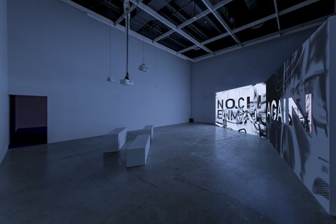 © Courtesy the artist & KOW, Berlin (Again | Noch Einmal (2019), installation view, The Power Plant Toronto) © Toni Hafkenscheid