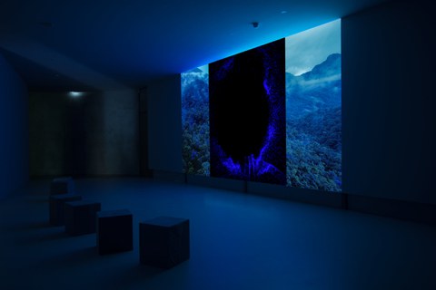 © Courtesy the artist & KOW , Berlin (Corpo Fechado (2016), installation view, GfZK Museum of Contemporary Art, Leipzig)
