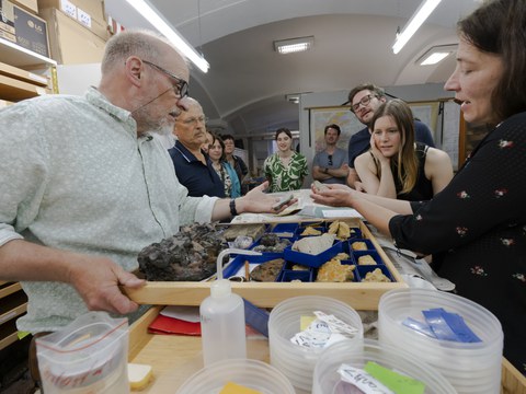 Das Schaufler Lab bei der Führung durch die paläobotanische Sammlung des Senckenberg Museums Görlitz