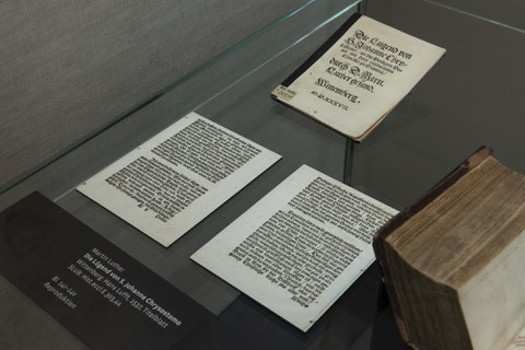 Foto von Exponaten der Ausstellung