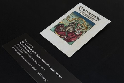 Foto von Exponaten der Ausstellung