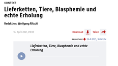 Screenshot der Überschrift des Artikels