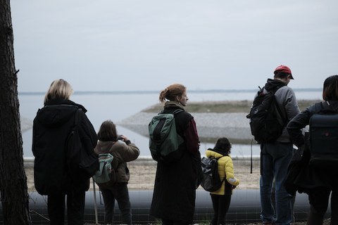 Cottbuser Ostsee