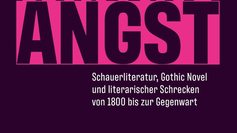 Book cover - Jakob Baur, Lars Koch, Barbara Schaff (eds.): *Writing Fear: Horror Literature, the Gothic Novel, and Literary Horror from 1800 to the Present*, transcript 2026.
