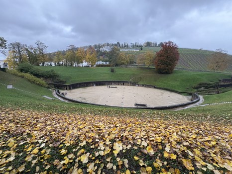 Das Foto zeigt das Trierer Amphitheater.