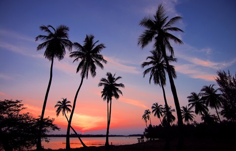 Sonnenuntergang am Strand mit Palmen