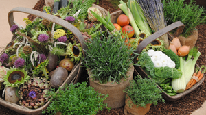 Photo with two baskets and three pots. The pots are planted with herbs. In the baskets are vegetables and flower heads.