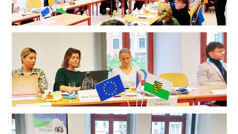 Expert Meeting